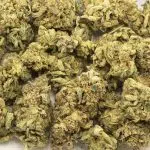 Lemon Cheese AAAA - Sativa - Image 3
