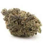 Purple Cough AAAA - Hybrid