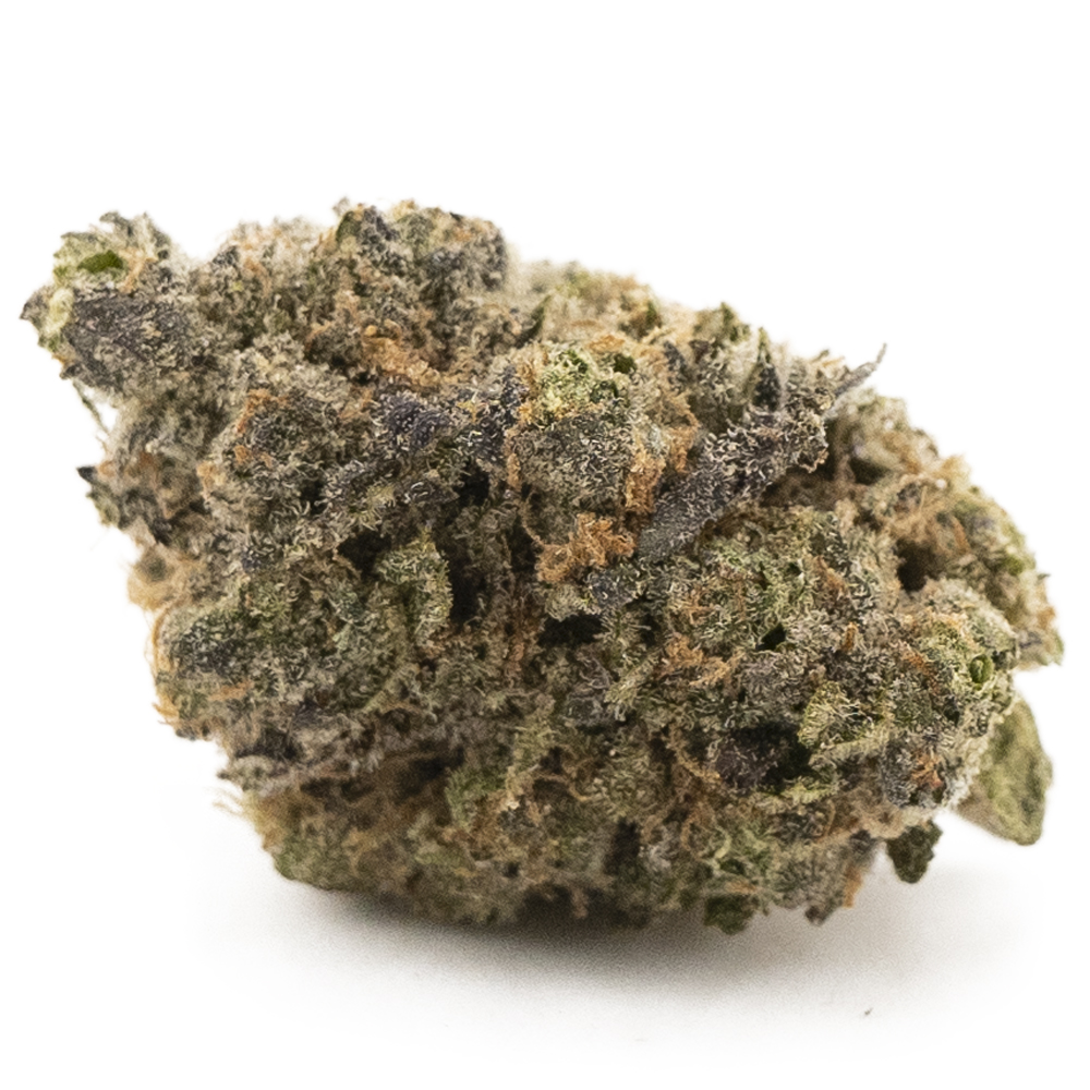 buy-weed-online-dispensary-purple-cough-aaaa-hybrid-nug.jpg Purple Cough AAAA - Hybrid - Image 1