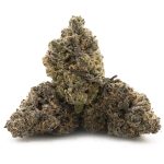 Purple Cough AAAA - Hybrid - Image 2