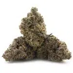 Purple Cough AAAA - Hybrid - Image 2