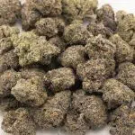 Purple Cough AAAA - Hybrid - Image 3
