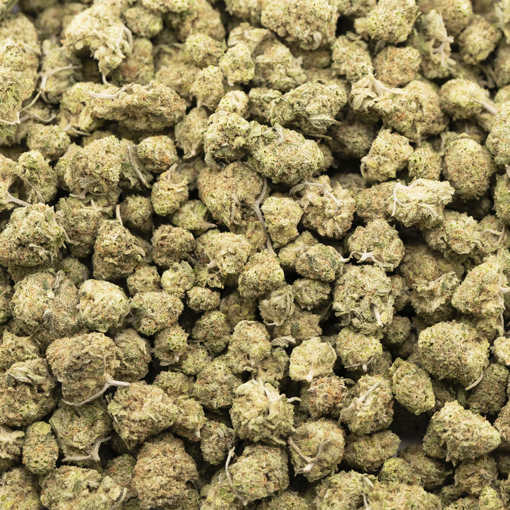 buy-weed-online-dispensary-sugar-black-rose-popcorn-aaaa-indica-wholesale.jpg Sugar Black Rose AAAA Popcorn - Indica - Image 1