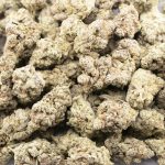 Wholesale - 41 Unicorns - AAAA
