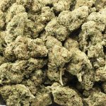 Cherry AK-47 AAA - Sativa - Image 3
