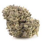 Love Potion #9 AA - Indica