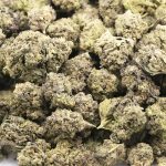 Love Potion #9 AA - Indica - Image 3