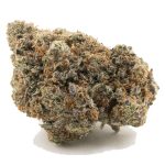 Tropical Berry Craft - Indica