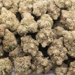 Tropical Berry Craft - Indica - Image 3
