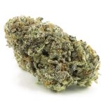 Black Truffle AAAA - Indica