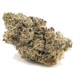 Gorilla Quake AAA - Hybrid