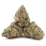 Gorilla Quake AAA - Hybrid - Image 2