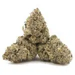 Gorilla Quake AAA - Hybrid - Image 2