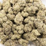 Gorilla Quake AAA - Hybrid - Image 3