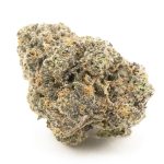Mind Fiesta Craft - Hybrid