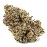 Pearl Scout Cookie AAA - Indica