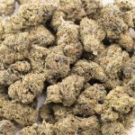 Pearl Scout Cookie AAA - Indica - Image 3