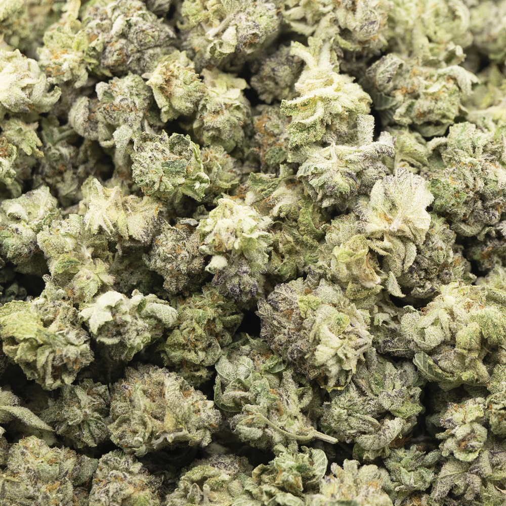 buy-weed-online-dispensary-black-domina-98-aaaa-indica-.jpg Black Domina 98 AAAA Popcorn - Indica - Image 1