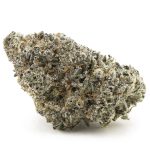 Cement Shoes Craft - Indica