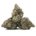 Cement Shoes Craft - Indica - Image 2
