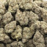 Cement Shoes Craft - Indica - Image 3