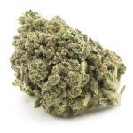 Purple Fat Pie AA - Indica