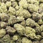 Purple Fat Pie AA - Indica - Image 3