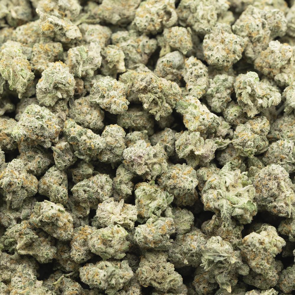 buy-weed-online-dispensary-scooby-snacks-aaaa-popcorn-hybrid-wholesale.jpg Scooby Snacks AAAA Popcorn - Hybrid - Image 1