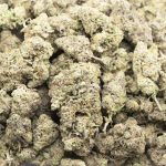 Midnight Cookie AAA - Indica - Image 3
