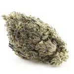 Papaya Slapper A - Hybrid