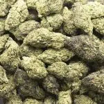 Papaya Slapper A - Hybrid - Image 3