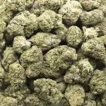 Sherbet Cookies A - Sativa - Image 3
