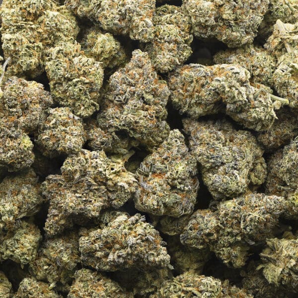 Wholesale - Ghost OG x Cherry Puff - AAAA