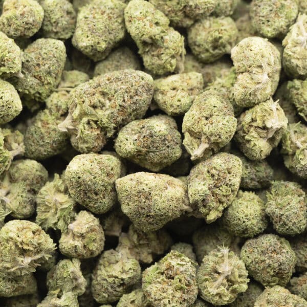 Blue Monkey AAA Popcorn - Indica