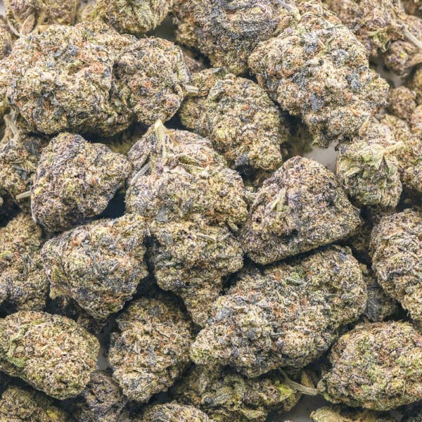 Black Domina 98 AAAA - Indica - Image 3