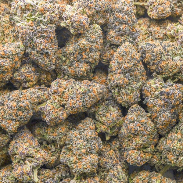 Wholesale - Blackberry Lemonade - Craft