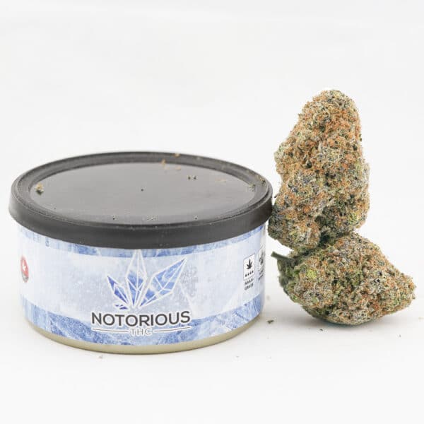 Notorious THC Craft - Master Yoda (7 Grams)