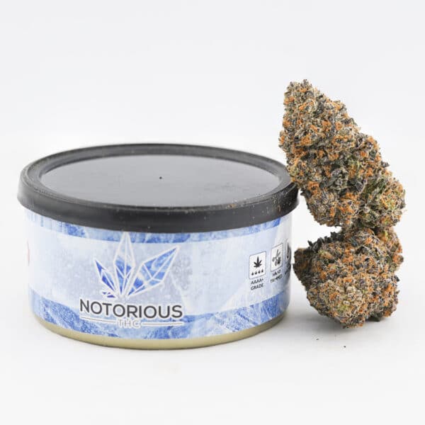 Notorious THC Craft - Red Bubblegum (7 Grams)