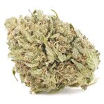 God's AK-47 A - Indica
