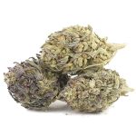 God's AK-47 A - Indica - Image 2