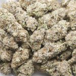 Black Death Bubba AAAA - Indica - Image 3