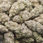 Blackberry Kush AAAA - Indica - Image 3
