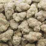 Headband Larry Craft - Indica - Image 3