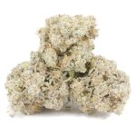 Shark OG AAAA - Hybrid - Image 2