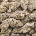 Watermelon Kush AAAA - Indica - Image 3