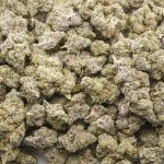 Wholesale - Black Cherry Maduro - AAA