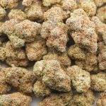 Lemon Drip AAAA - Sativa - Image 3