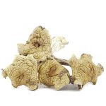 Shrooms - Mazapatec