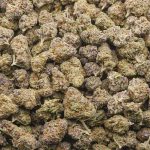 Blueberry Cookies Craft Popcorn - Indica