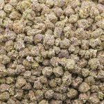 Buckeye Purple AAAA Popcorn - Indica